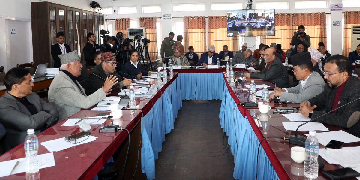 टेरामक्सको सबै काम रोक्न लेखा समितिकाे निर्देशन