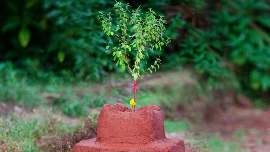 आज हरिशयनी एकादशी, चतुर्मास व्रत आरम्भ