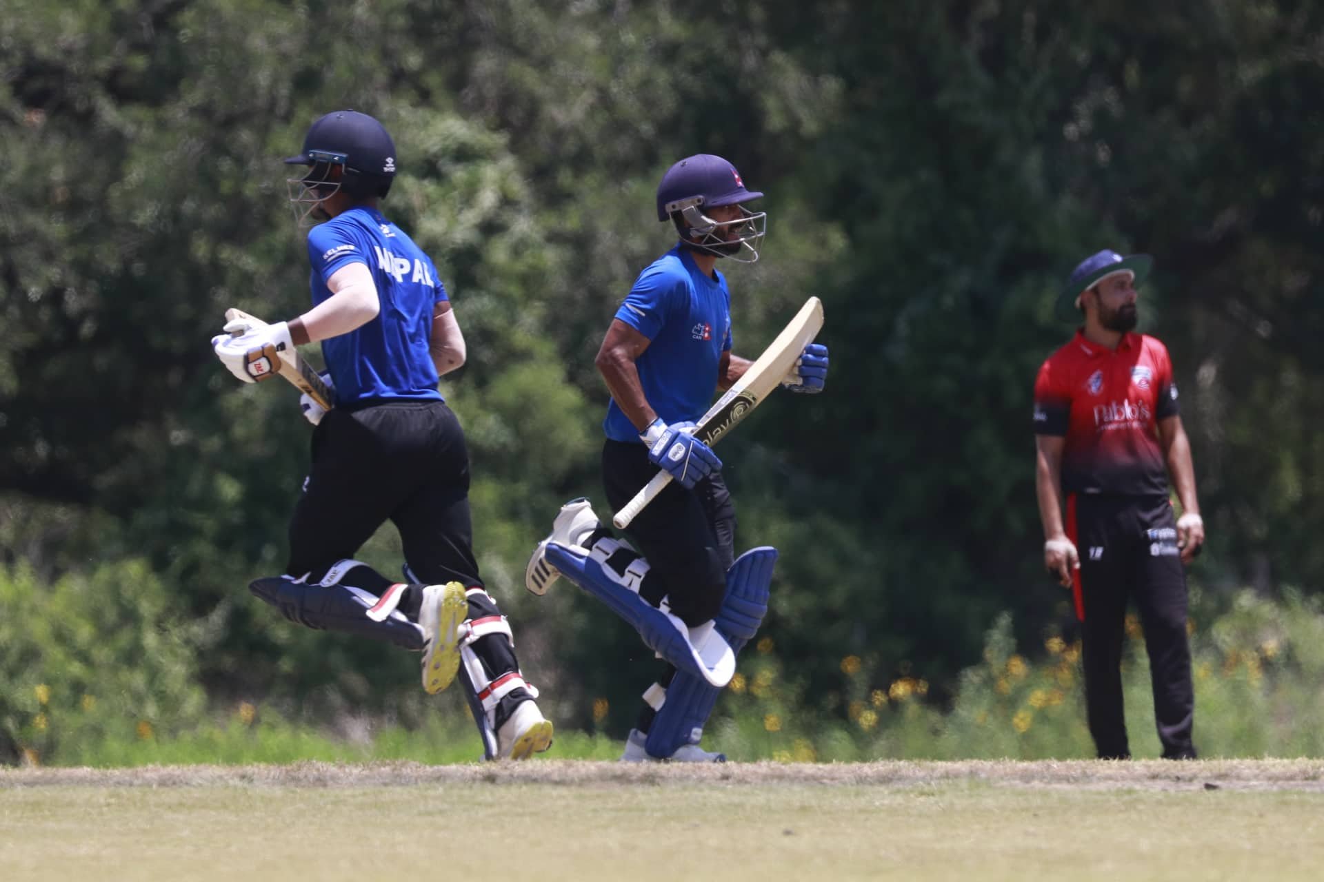 सोमपाल र रोहित चम्किदा ह्युस्टन हरिकेन्ससँग नेपालको जित