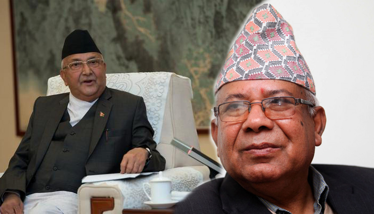सेलाउँदै ओली र माधव नेपाल मिलाउने प्रयास