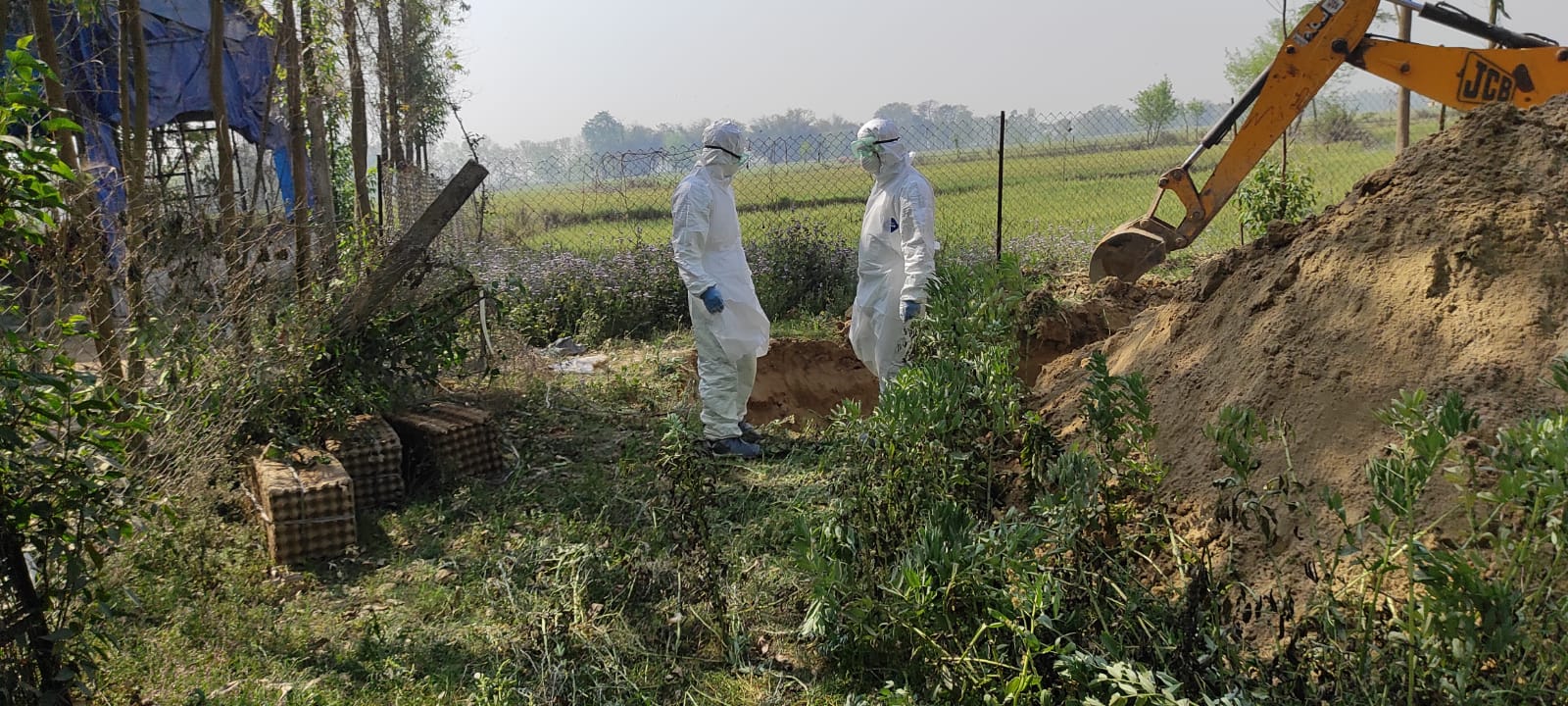 बर्ड फ्लू नियन्त्रणमा खटिने कर्मचारीलाई शतप्रतिशत प्रोत्साहन, किसानलाई ७५ प्रतिशत राहत
