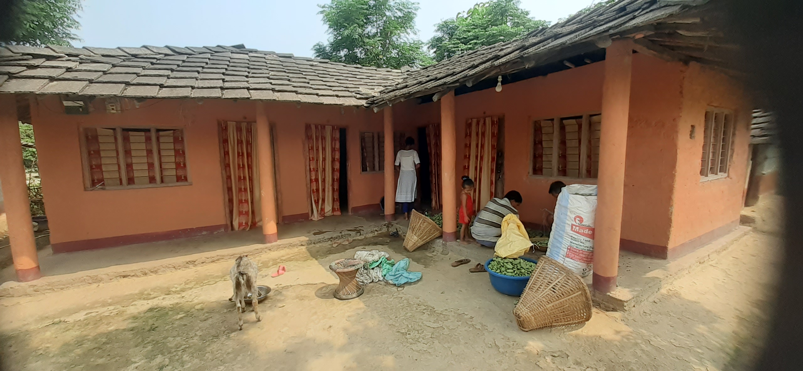 सिकारीकाे पासाेमा परी गाेली लाग्ला गम्भीर घाइते, उजुरी नदिँदा अपराधी खुलेआम