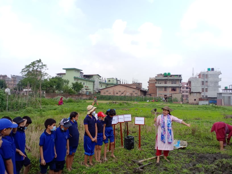 एभरेष्ट स्कुलका विद्यार्थीले खेतमै पुगेर राखे धानको बीउ