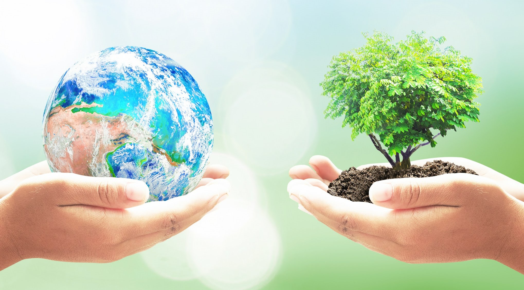 आज विश्व वातावरण दिवसः नेपालमा पनि मनाइँदै