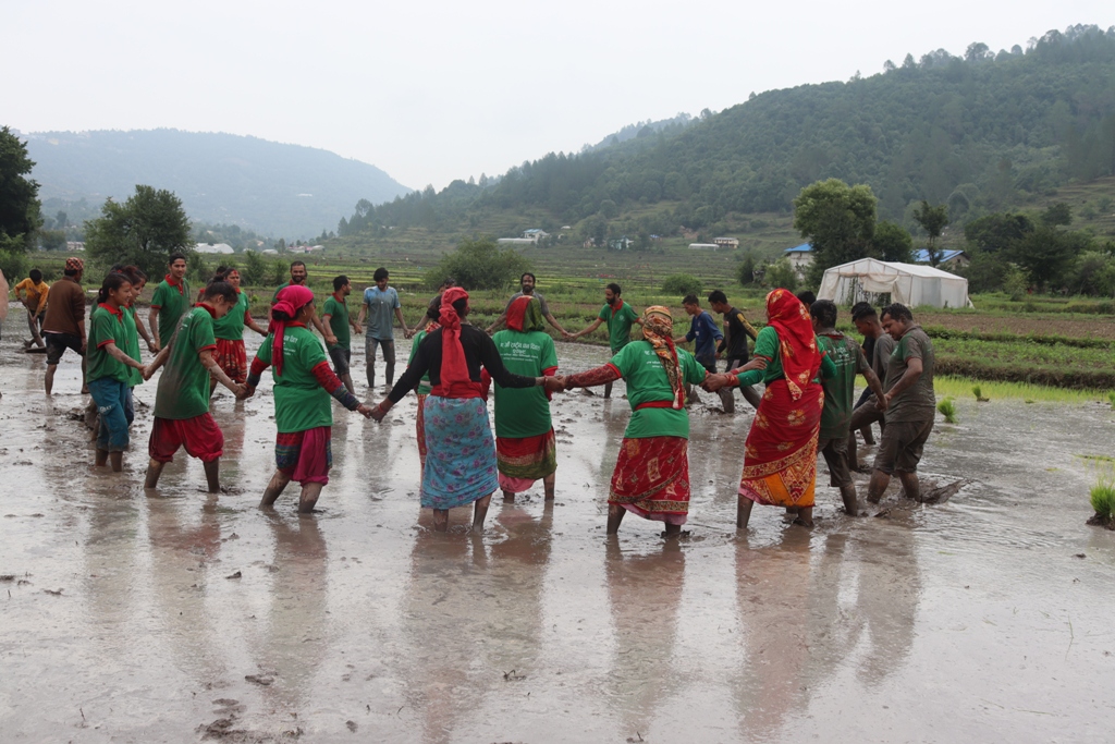 डडेल्धुरामा धान दिवसमा घन्कियाे देउडा (फोटोफिचर)