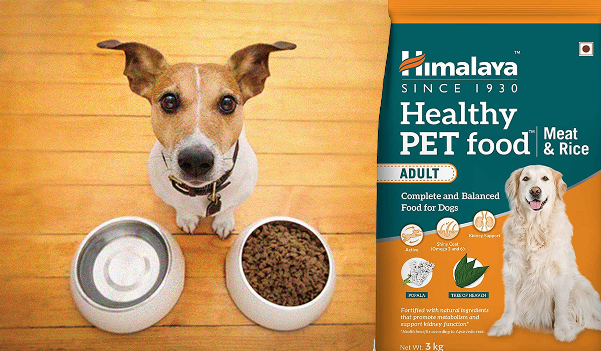 नेपालले २७ देशमा पठाउँछ कुकुर र बिरालोको खाना