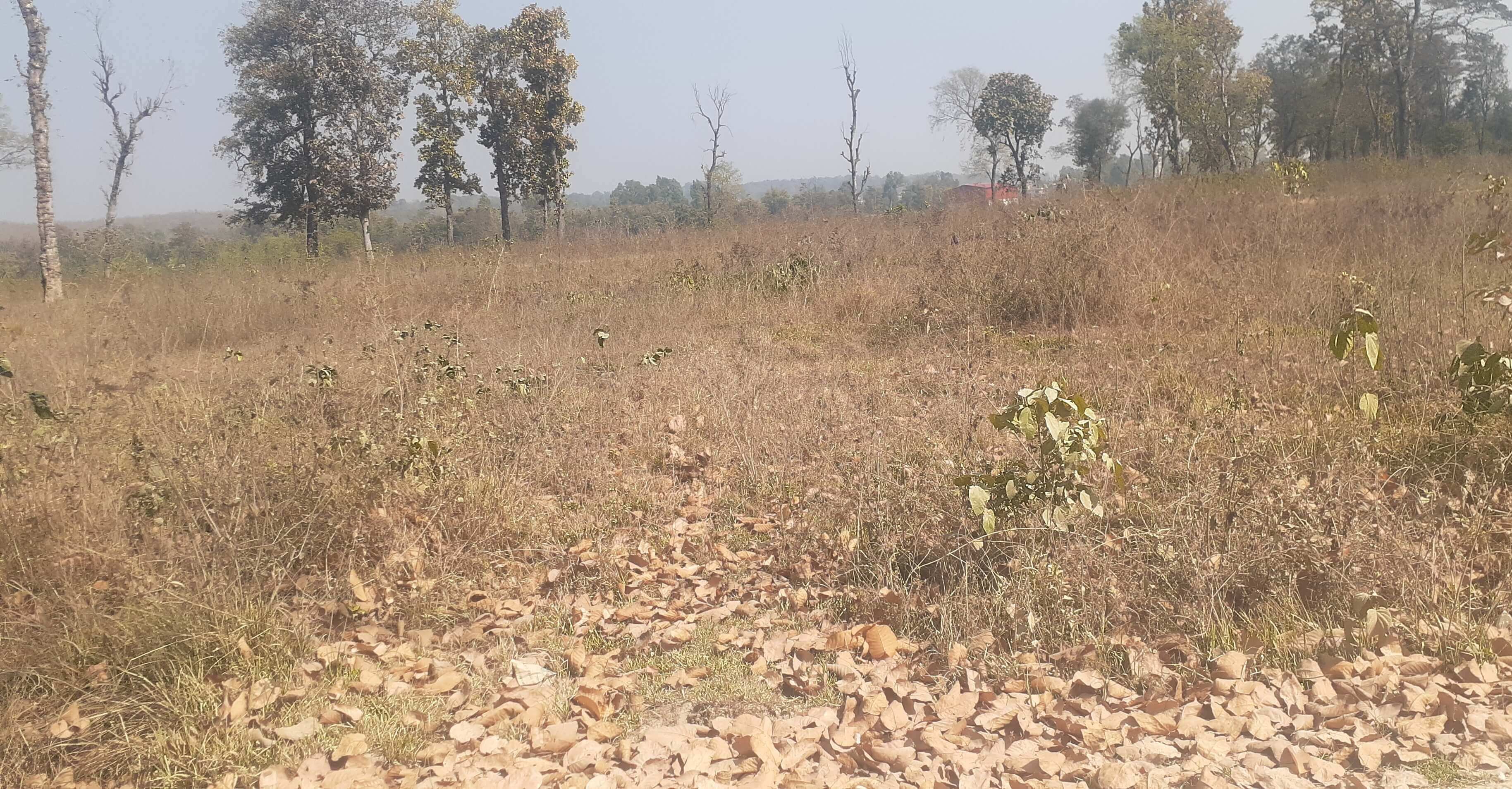 बर्दिबास मेडिकल कलेजको पूर्वाधार निर्माणमा चलखेलकाे आशंका