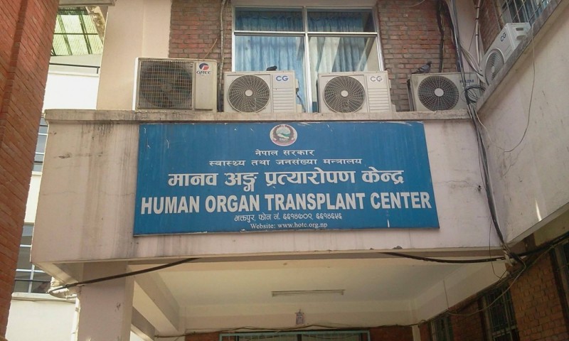 अंग प्रत्यारोपण केन्द्रको कार्यकारी निर्देशकबाट हट्नु नपर्ने